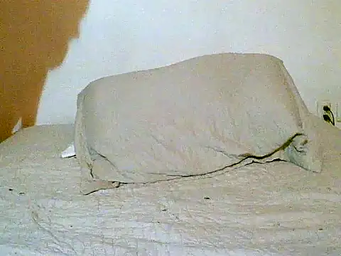 Snapshot of pollarikaaa chatting on December 14, 12:05 am pollarikaaa online show from December 14, 12:05 am