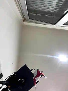 Snapshot of Kamaleonix chatting on December 16, 10:26 pm Kamaleonix online show from December 16, 10:26 pm