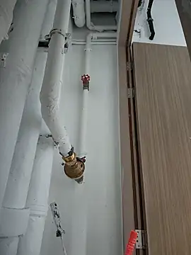 2tomka52052sex online show from January 8, 7:03 am