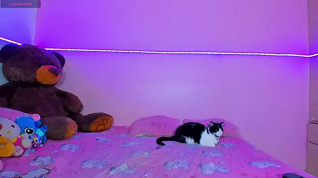 Snapshot of Canndy88htxx chatting on December 2, 12:49 am Canndy88htxx online show from December 2, 12:49 am