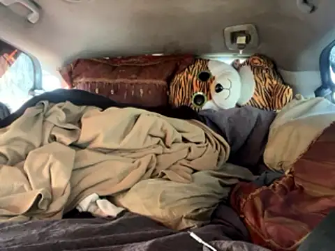 SlimeCrownzOut5 online show from January 11, 6:46 pm