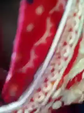 Snapshot of Bengoli--bhabhi chatting on February 22, 4:18 am Bengoli--bhabhi online show from February 22, 4:18 am