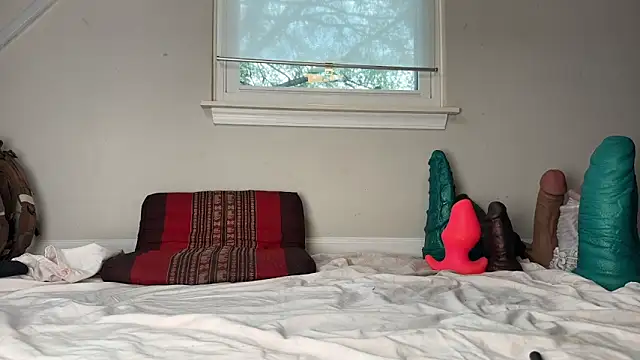 Snapshot of Theonlydreamybull chatting on December 3, 4:49 pm Theonlydreamybull online show from December 3, 4:49 pm