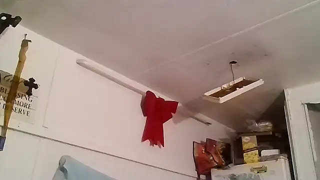 Snapshot of allissonw13 chatting on January 25, 4:23 am allissonw13 online show from January 25, 4:23 am