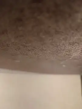 Alex flair online show from March 17, 2:20 pm