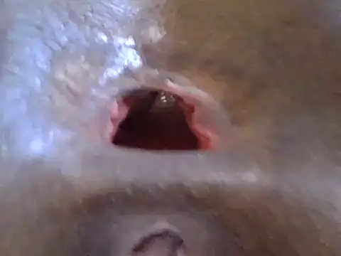 petitev online show from December 17, 12:33 pm