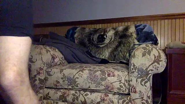 tongueispowerr6d9 online show from March 3, 2:18 am