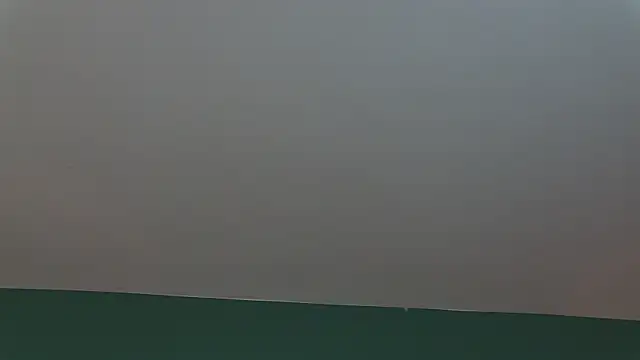 Snapshot of AlicePirs chatting on January 25, 5:40 am AlicePirs online show from January 25, 5:40 am