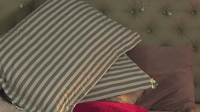 Snapshot of AlicePirs chatting on February 6, 11:32 am AlicePirs online show from February 6, 11:32 am