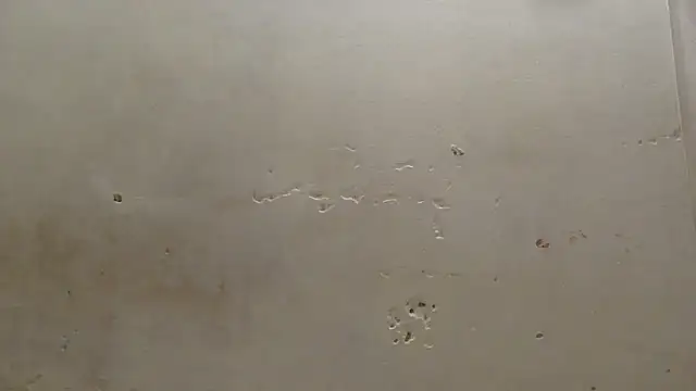 curvysexybody online show from January 16, 9:41 pm