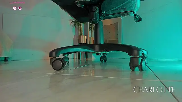 charlotte  grey online show from December 2, 7:42 pm