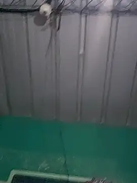 Cris29 84 online show from February 24, 8:23 am