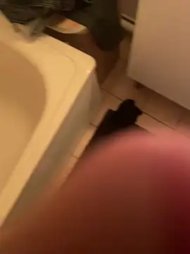 Snapshot of dimitriei chatting on December 7, 12:08 am dimitriei online show from December 7, 12:08 am