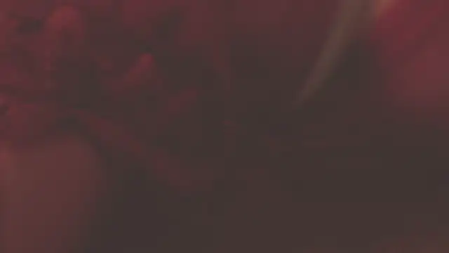 oxiris 1 online show from January 16, 1:48 am