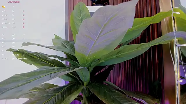 Anybuny online show from January 20, 11:35 am