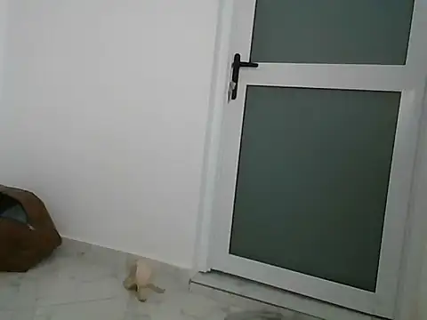 lugari online show from December 21, 10:19 pm