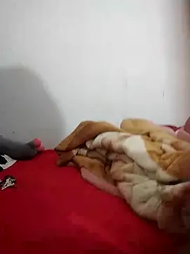 Snapshot of Rose_DiDi chatting on February 28, 11:36 am Rose DiDi online show from February 28, 11:36 am