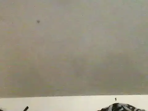 Snapshot of chubbybear2cum chatting on February 15, 10:33 am chubbybear2cum online show from February 15, 10:33 am