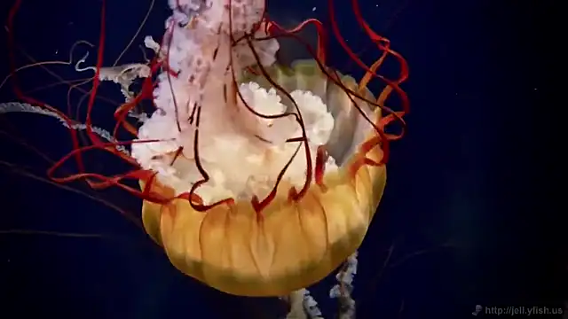 Snapshot of streamy_test12 chatting on September 16, 4:30 pm streamy test12 online show from September 16, 4:30 pm