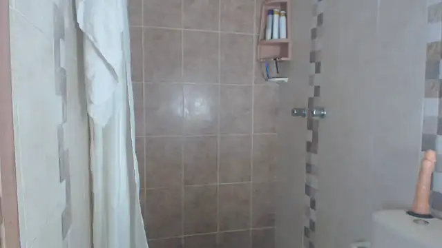 Snapshot of brigitht chatting on March 11, 3:02 pm brigitht online show from March 11, 3:02 pm