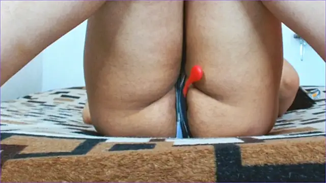 Geisha Seniers online show from March 11, 12:55 pm