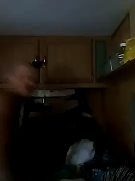 Snapshot of tjmacksjr chatting on October 4, 7:01 pm tjmacksjr online show from October 4, 7:01 pm