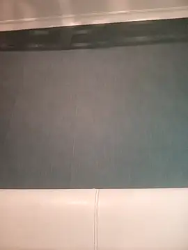 Snapshot of Gussie_Bridie chatting on December 22, 11:22 am Gussie Bridie online show from December 22, 11:22 am