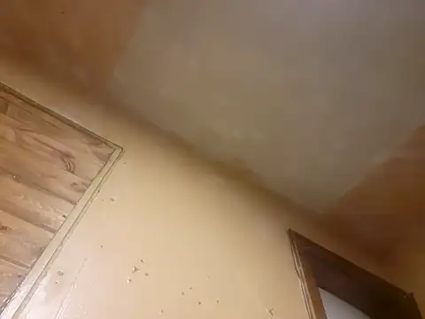 Snapshot of BigDDave6979 chatting on March 13, 7:42 am BigDDave6979 online show from March 13, 7:42 am