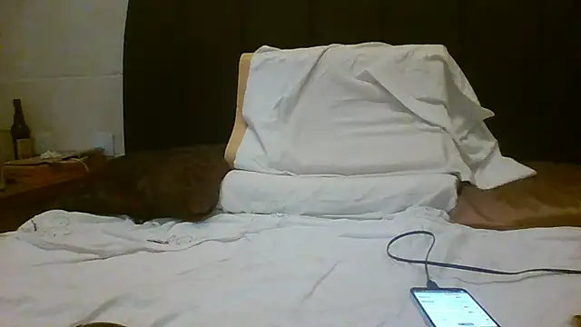 Denisilboss online show from March 24, 3:50 pm