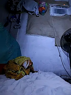 Snapshot of The-quee22 chatting on October 11, 11:31 am The-quee22 online show from October 11, 11:31 am