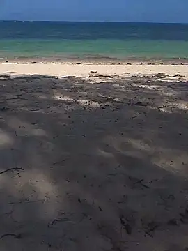 blacks couples online show from February 2, 12:26 pm