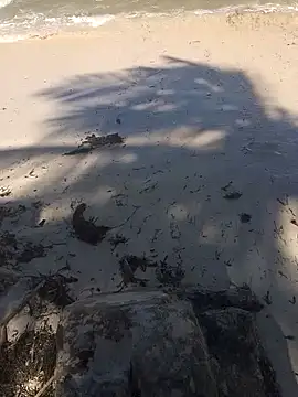 blacks couples online show from April 30, 11:38 am