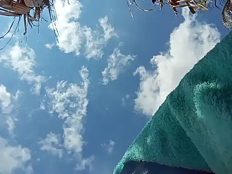 Snapshot of natally_ross21 chatting on December 8, 3:45 pm natally ross21 online show from December 8, 3:45 pm