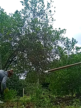 Snapshot of natally_ross21 chatting on February 21, 12:50 pm natally ross21 online show from February 21, 12:50 pm