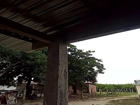 Snapshot of natally_ross21 chatting on December 21, 12:01 pm natally ross21 online show from December 21, 12:01 pm