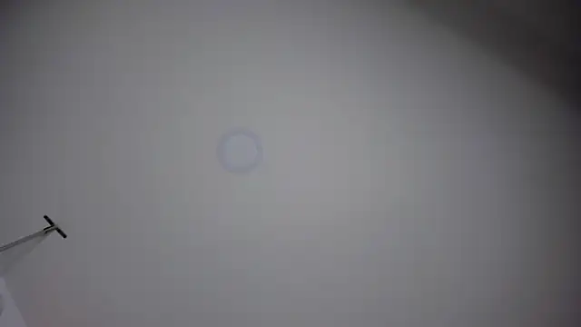 Snapshot of ChloeConnorr chatting on December 28, 10:23 pm ChloeConnorr online show from December 28, 10:23 pm