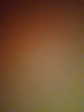 mendelicius online show from February 27, 6:09 pm