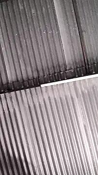 mendelicius online show from February 11, 1:27 pm