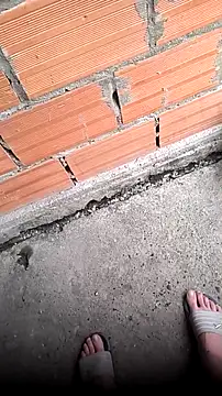 mendelicius online show from April 11, 11:14 am