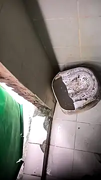 mendelicius online show from April 13, 12:43 pm