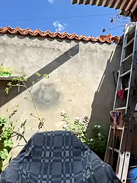 room 24funn online show from November 14, 3:00 pm