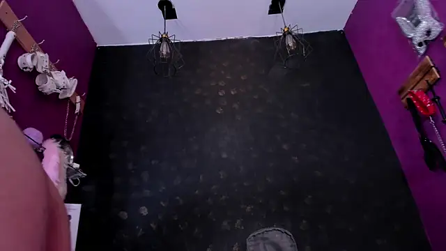 Snapshot of Alexa_Slave chatting on October 11, 11:53 am Alexa Slave online show from October 11, 11:53 am