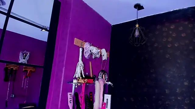 Snapshot of Alexa_Slave chatting on December 1, 7:30 pm Alexa Slave online show from December 1, 7:30 pm