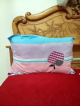 YunLem online show from November 17, 2:06 am