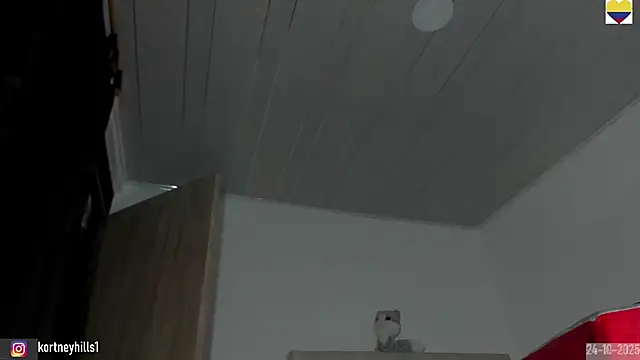 Snapshot of sexykortney chatting on October 25, 3:47 am sexykortney online show from October 25, 3:47 am