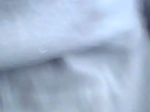 Bootiq online show from October 22, 9:53 am