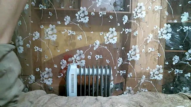 Snapshot of DennisXCaroll chatting on February 14, 6:19 pm DennisXCaroll online show from February 14, 6:19 pm