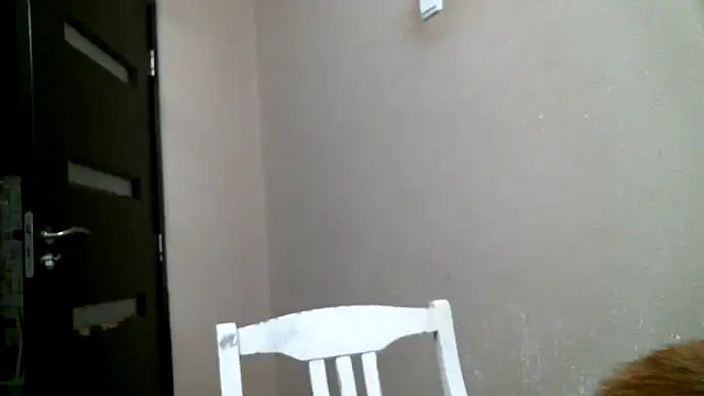 Snapshot of DennisXCaroll chatting on February 18, 12:04 am DennisXCaroll online show from February 18, 12:04 am