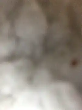 Snapshot of indie-rayne chatting on January 3, 9:05 pm indie-rayne online show from January 3, 9:05 pm