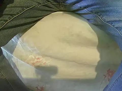 Tiger202441 online show from December 17, 11:17 am